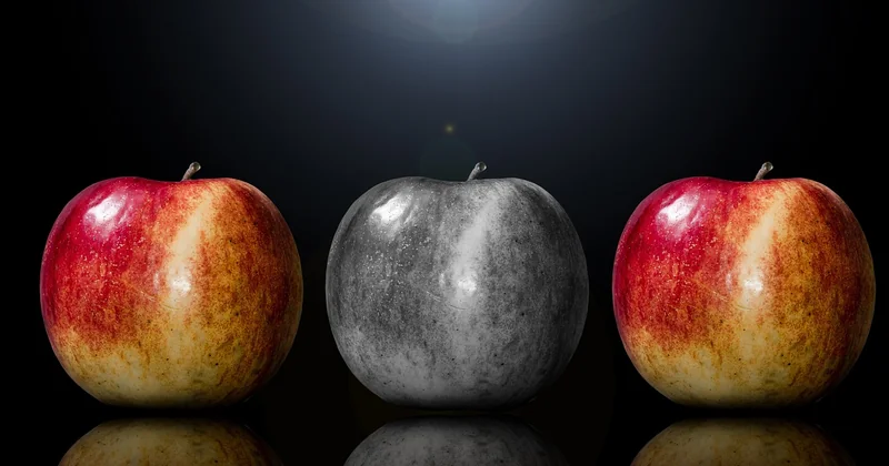 A side-by-side comparison you can actually use